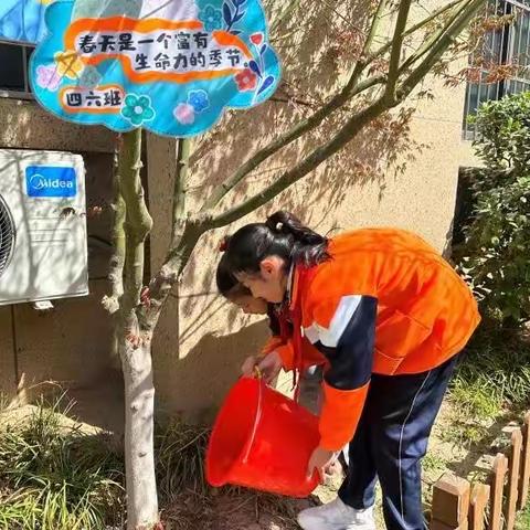 以诗意花草诉说春的美好—金明实验小学绿植养护劳动教育活动