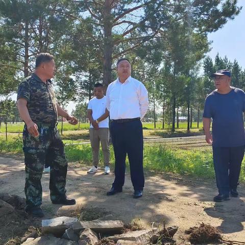 夯实“基”础 “圃”写新篇—阿木尔林业局中心苗圃基础设施改建工程全面启动