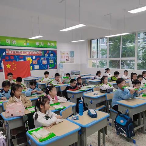 云龙小学一年级（6、8-12班）鲨鱼公园STEM主题课程“毛毛虫动起来”