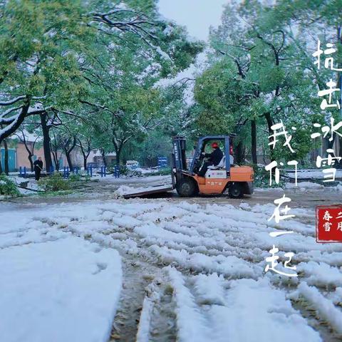 铲雪除冰保畅通 齐心协力暖人心--生产保障中心仓储配送室