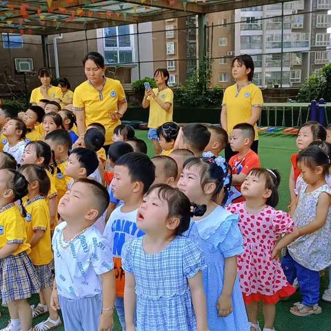 小灵童幼儿园《小一班》2023.6.25—2023.6.30一周活动