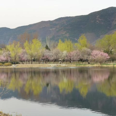 2022.4.1北京植物园