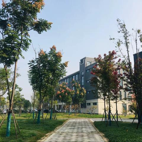 八四班的一周生活！