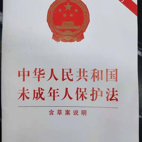 榆红村开展未成年保护法宣传活动