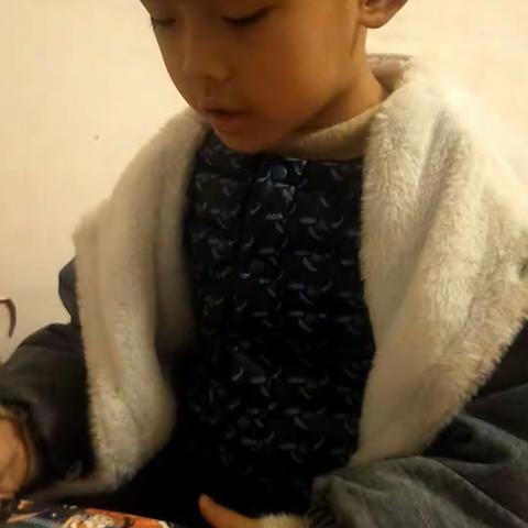 南街幼儿园大一班向文宇亲子阅读