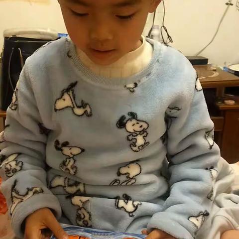 南街幼儿园大一班向文宇亲子阅读