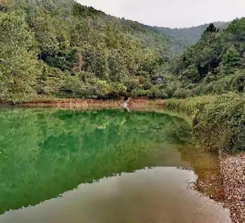 静心放松•音波沙龙（太平）