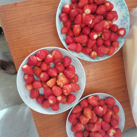 培智七年级“学会做客，学包饺子”亲子社会实践活动