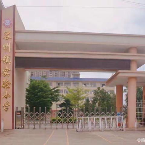 青蓝相辉，薪火相传 —— 容县容州镇实验小学“青蓝工程”师徒结对活动