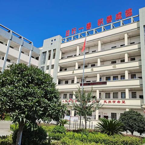 展特色实践作业 秀多彩寒假生活 ——鄢家河小学“犇向新征程”寒假实践作业展示