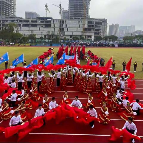 奋力拼搏，逐梦赛场