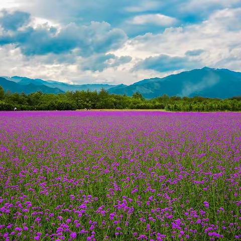 班级好作文《推荐一个好地方》优秀习作选登