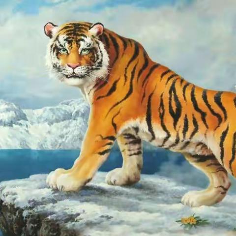 班级好作文《小小“动物园”》优秀习作