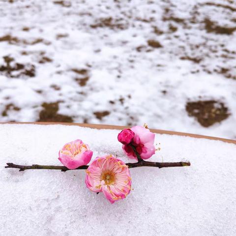 【班级好作文】假期作文精选