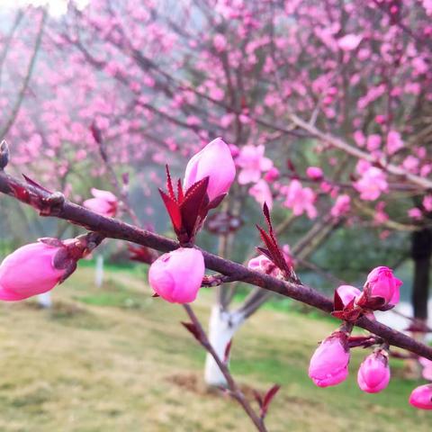 【班级好作文】师生共写《我的乐园》