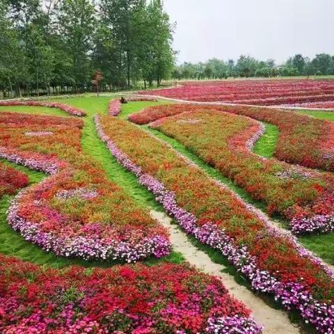 【班级好作文】写一篇游记