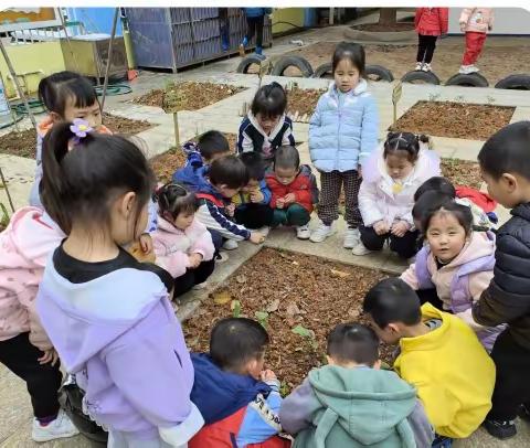 [中心幼儿园--大三班📷第九周]清明时节雨纷纷🌧️