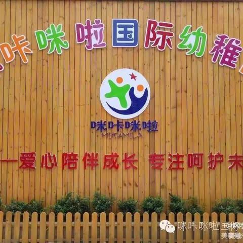 咪咔咪啦幼儿园托班12月第二周精彩回顾