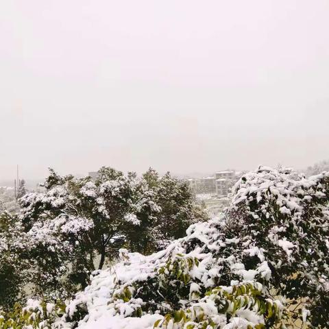 【虎年降瑞雪 俊飞暖真情】德兴市俊飞小学2022年春季雪后美景