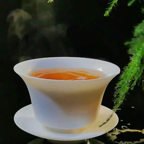 茶店如何引流