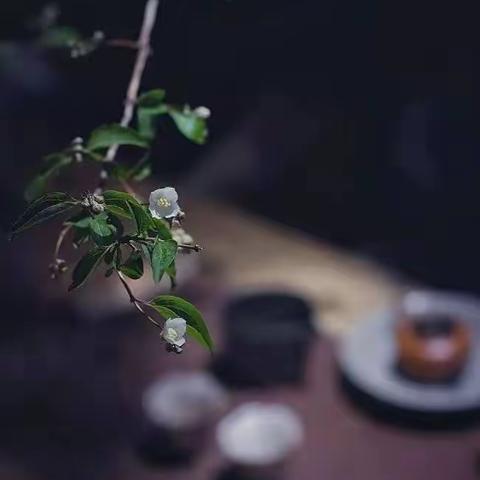 茶商当下的困局
