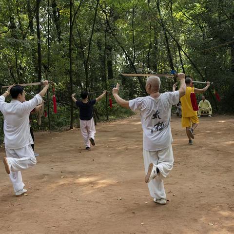 在恩施市凤凰山公园追光逐影