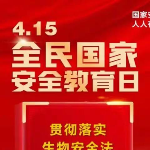 普及安全知识  提高避险能力——杜生镇史楼中学全民国家安全教育日主题活动