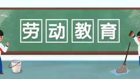 劳动节，劳动教育正当时！---藁城区第八中学小学部劳动教育主题活动纪实