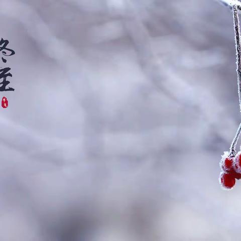 冬至，吃饺子喽！