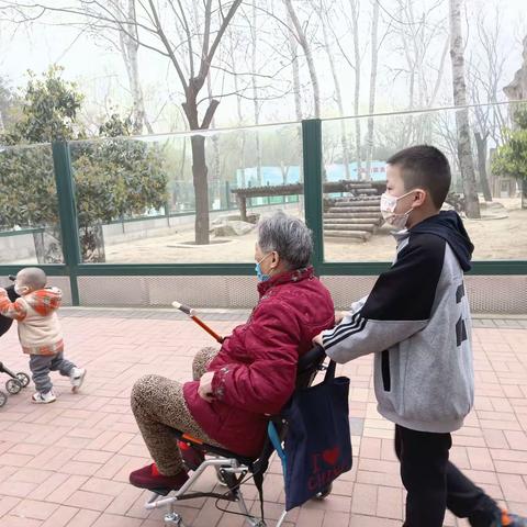 听风听雨听自然，读诗读词读天地 ——苗圃小学聚焦减负提质、落实素养提升