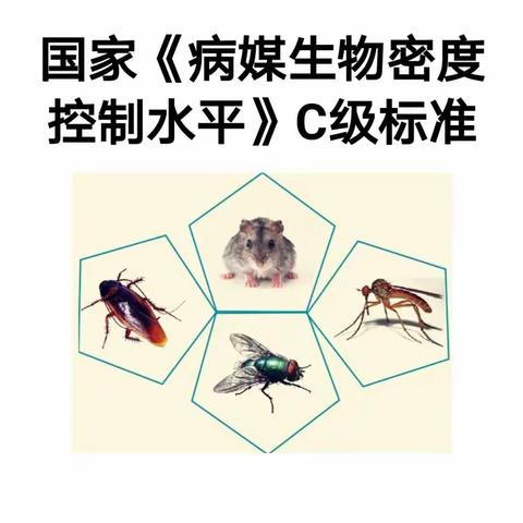 儋州市人民医院2018年病媒生物防治知识培训