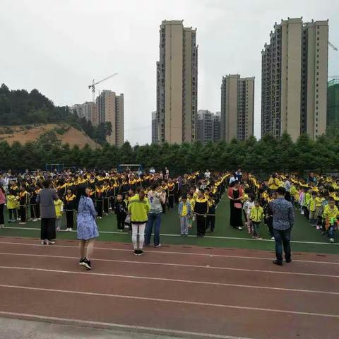 钻石宝贝幼儿园与石齐小学幼小衔接活动