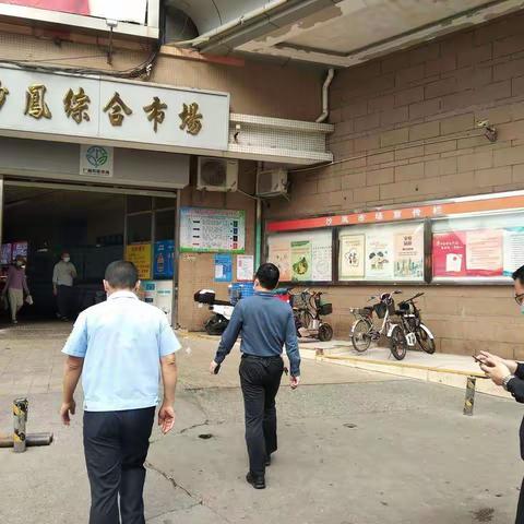 金沙所2023年3月11日工作简报