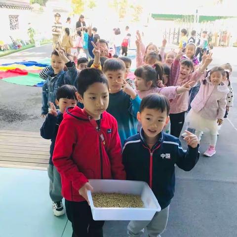 溧阳市新区实验幼儿园中4班“收获秋天，稻香乐”爱我日主题活动