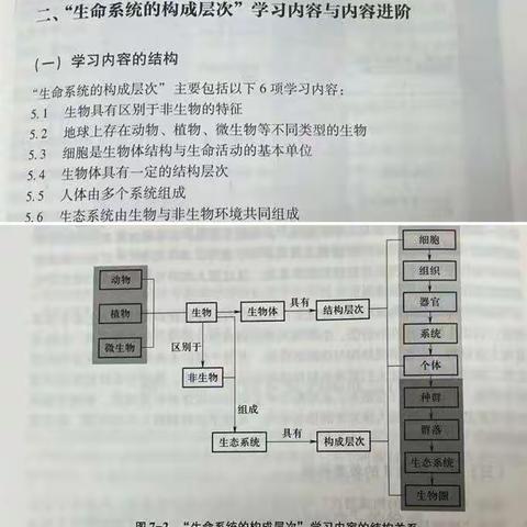 突出核心素养培养  落实新课程标准（七）——生命系统的构成层次