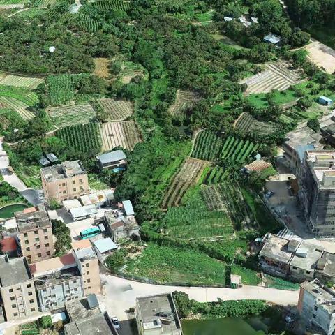 惠州市邦卓建筑工程有限公司业务介绍