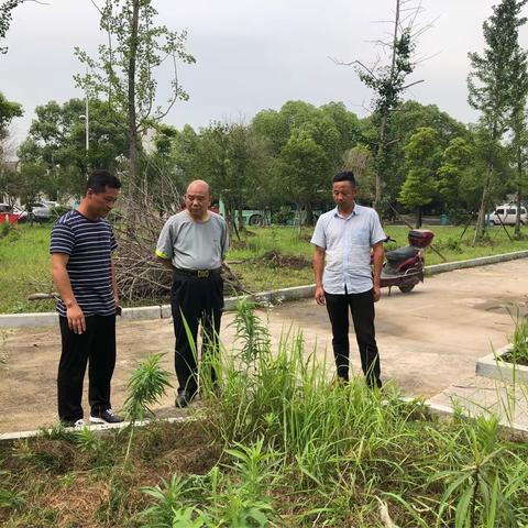 齐心协力卯足干劲，湖头村助力文明城市创建！