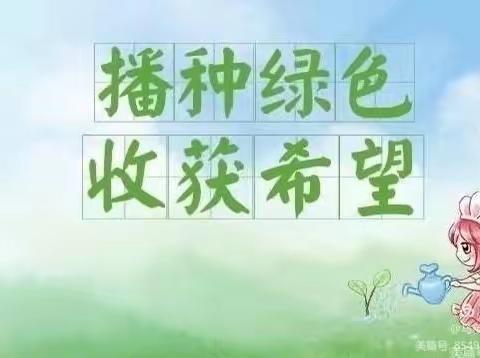 小蜜蜂🐝农场开工啦