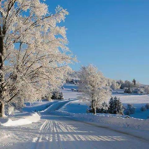 咏雪