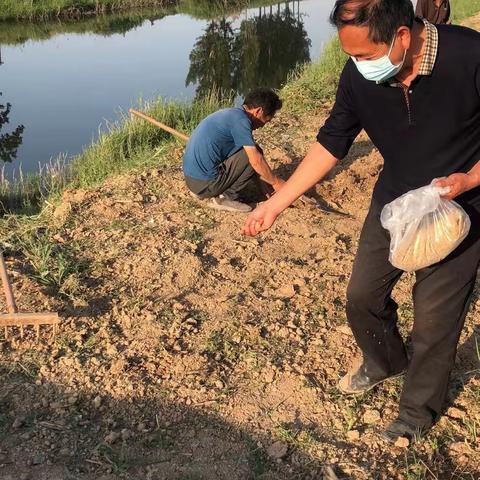 东明县住建局向渔沃街道捐赠绿化草籽