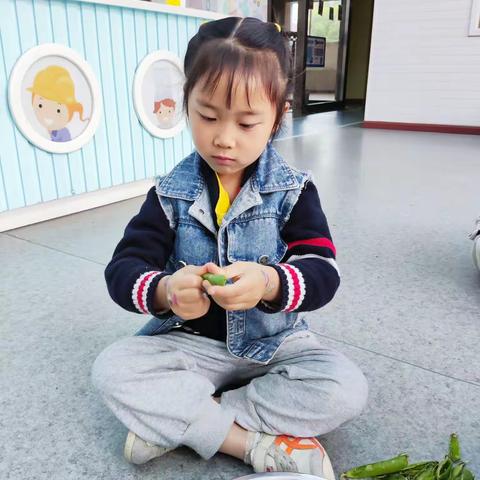 六壹花城幼儿园第十一周成长周记