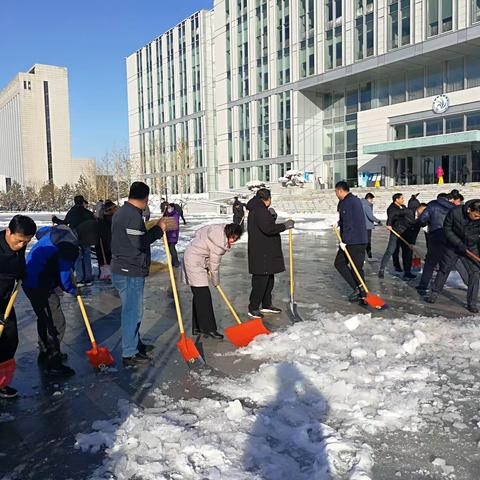 区工信局开展“清扫积雪暖人心  志愿服务在行动”志愿服务活动