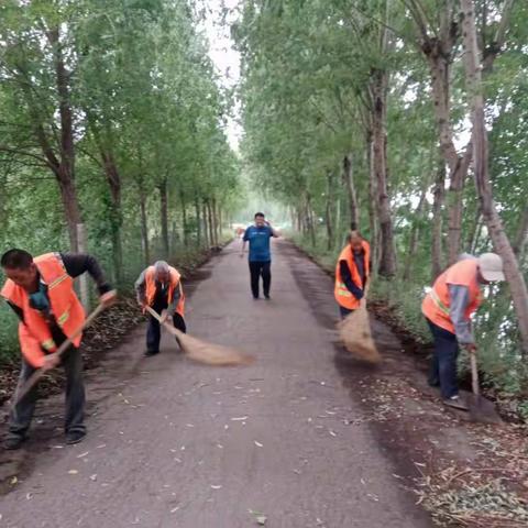 贺小庄村〔开展环境综合整治，让乡村更整洁更美丽〕