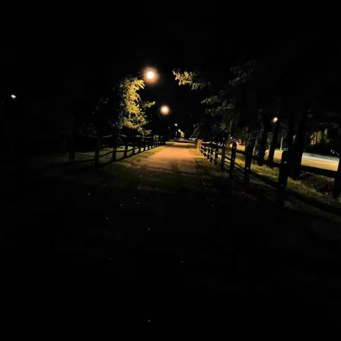 袁玉琪美国之旅