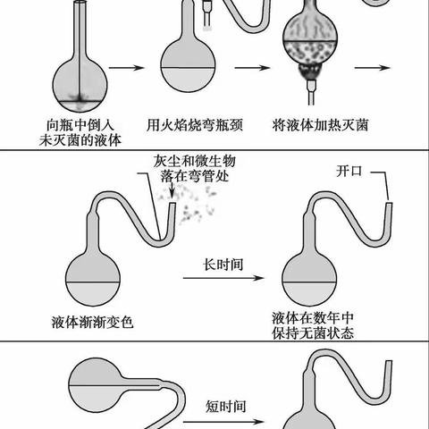 龙珠教育2023暑假综合实践