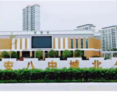 玩转电子百拼，拼出多彩智慧