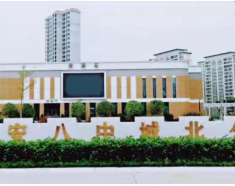 玩转电子百拼，争做电子小达人——吉安八中城北分校“电子百拼培训”精彩剪影