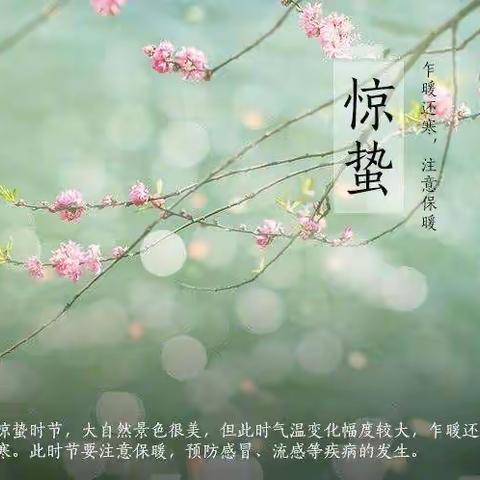 【云兴 课程】一鼓轻雷惊蛰后，细筛微雨落梅天——二年级全科融合说“惊蛰”