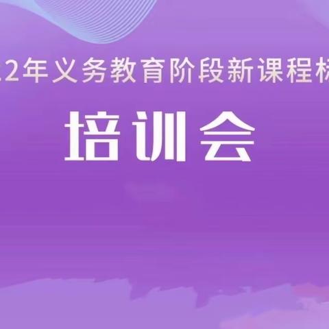 学习新课标，把握新征程——新城道小学新课标学习活动纪实