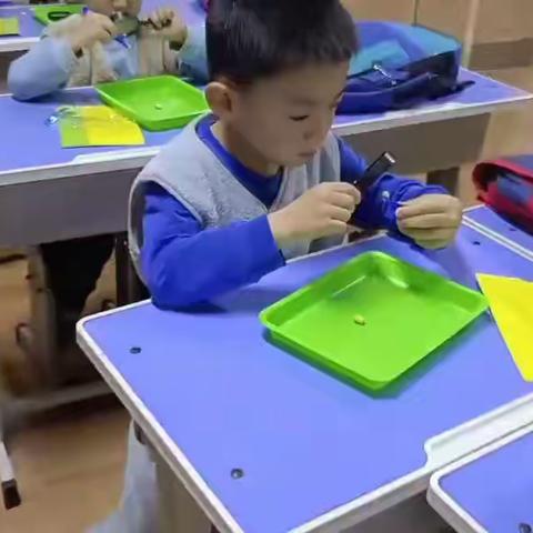 鹤鸣幼儿园科学延时班招生啦